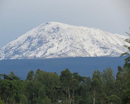 kilimanjaro