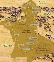 tanganyikaoutdoorsafari sert