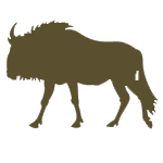Feature Icon